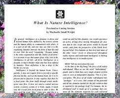 What Is Nature Intelligence?