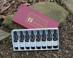 Perelandra Rose Essences II  1/2-oz Set (14.2ml)
