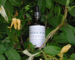 2-oz. MBP Endocrine System Balancing Solution (56.8ml)
