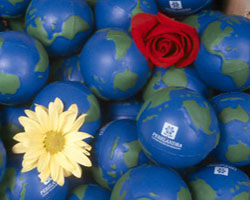 Kinesiology Stress-Relief Ball