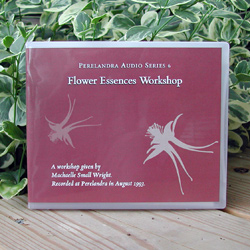 �5 OFF! CD: Flower Essences Workshop