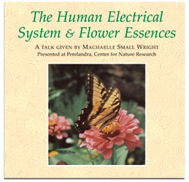 DVD: The Human Electrical System And Flower Essences; 2 discs