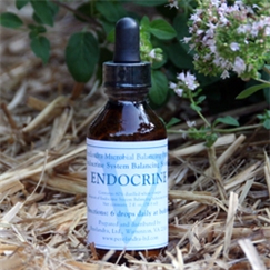 2-oz. MBP Endocrine System Balancing Solution (56.8ml)