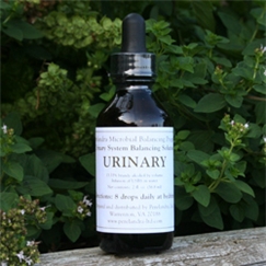 2-oz. MBP Urinary System Balancing Solution (56.8ml)