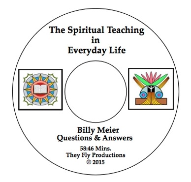 DVD: The Spiritual Teaching in Everyday Life (2015)