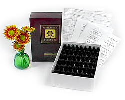 Perelandra Essences Testing Box and D-I-Y Kit: All Sets with empty Dram Bottles