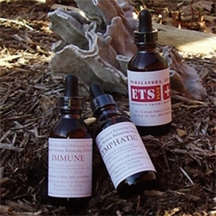 Beginner's Combo: MBP Immune, MBP Lymph, Human ETS Plus  2-oz. (56.8ml)
