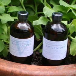 8-oz. Refill Respiratory System Balancing Solution (225ml)
