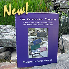 Flower Essences, yellow flowers on cover
